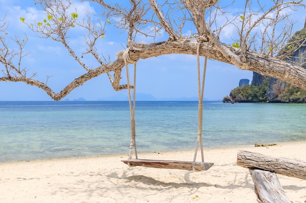 Bezpłatne zdjęcie drewniana huśtawka wisi pod drzewem na plaży na wyspie koh phak bia krabi tajlandia