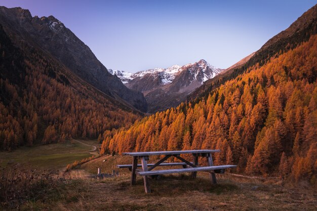 Drewniana ławka między dwoma wzgórzami pokrytymi żółtymi drzewami z pięknymi ośnieżonymi górami