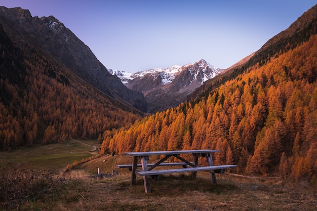 Drewniana ławka między dwoma wzgórzami pokrytymi żółtymi drzewami z pięknymi ośnieżonymi górami