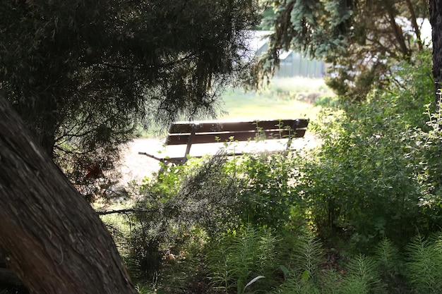 Drewniana ławka w parku miejskim na wiosnę.