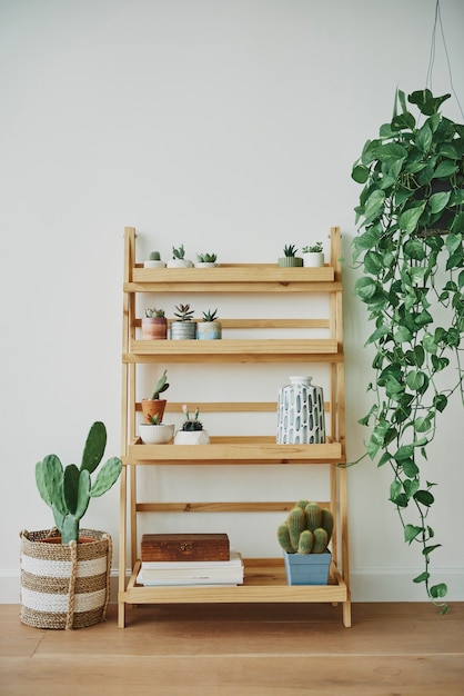 Bezpłatne zdjęcie drewniana półka na rośliny z mieszanymi roślinami