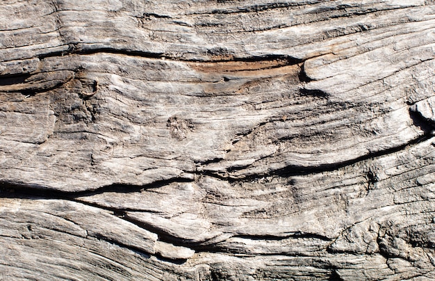 Drewniane ciepłe tekstury