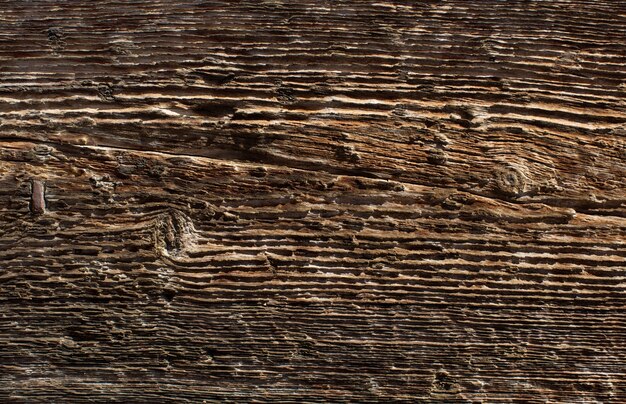 Drewniane ciepłe tekstury