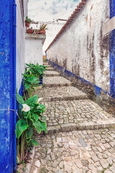 Drewniane drzwi portugalia