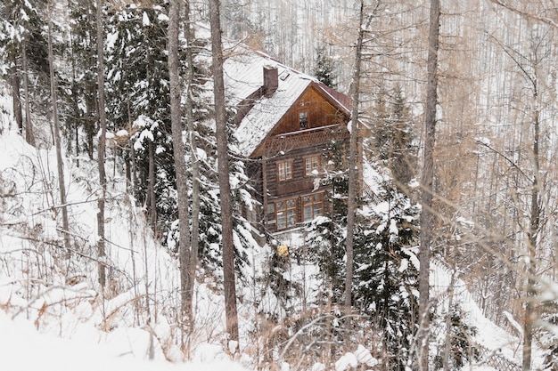 Bezpłatne zdjęcie drewniany dom w lesie zimą