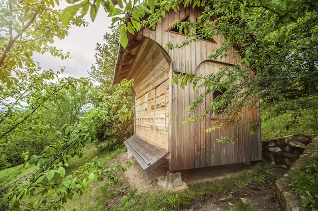 Drewniany domek dla pszczół otoczony drzewami na wsi