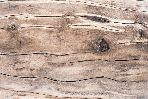 Drewniany tekstury tło z kopii przestrzenią