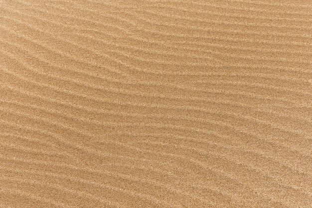 Drobny piasek na plaży z falami