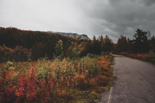 Droga do skandynawskich gór w zapierającym dech w piersiach parku narodowym w ponury jesienny dzień.