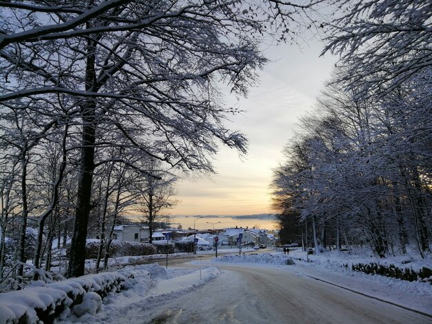 Droga otoczona drzewami i budynkami pokrytymi śniegiem podczas zachodu słońca w Larvik w Norwegii
