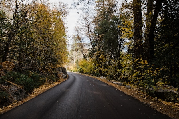 Bezpłatne zdjęcie droga w parku narodowym yosemite w kalifornii, usa