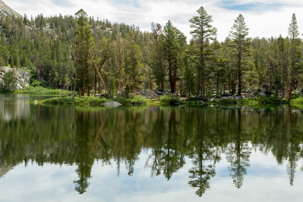 Drzewa lasu odzwierciedlone w Big Pine Lakes, Kalifornia, USA