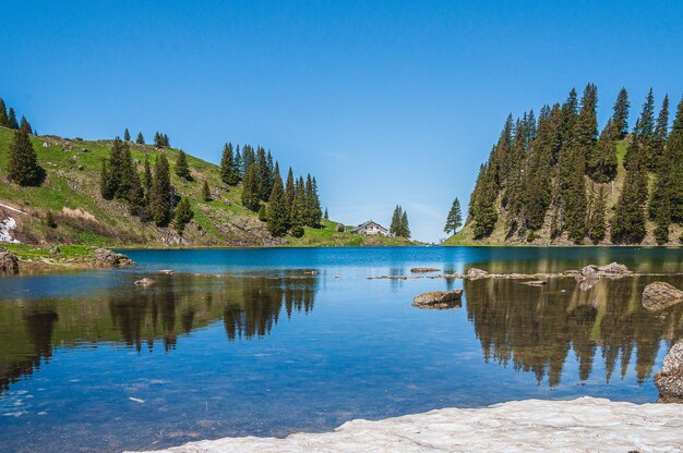 Drzewa w górach otoczonych jeziorem Lac Lioson w Szwajcarii