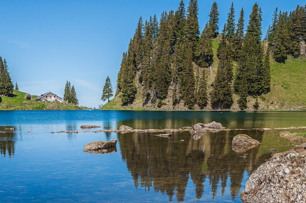 Drzewa w górach otoczonych jeziorem Lac Lioson w Szwajcarii