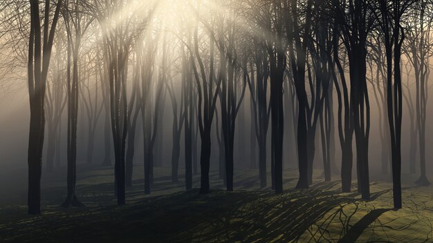 Drzewa w mglisty dzień