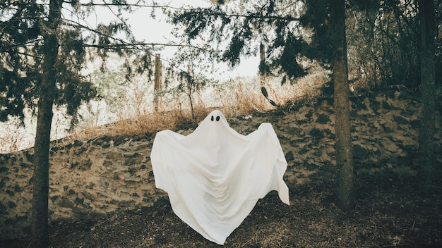 Bezpłatne zdjęcie duch z rozłożonymi rękami stoi blisko ściany w parku