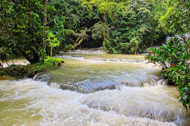 Dunns's River Falls na Jamajce w Dunn's River Falls Park