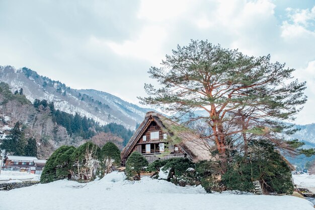 duża chata w śniegu w Shirakawago w Japonii