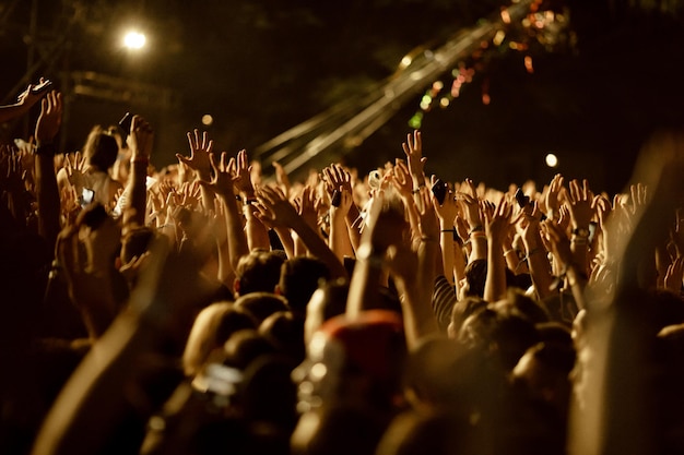Duża grupa fanów z podniesionymi rękami bawi się nocą na koncercie muzycznym
