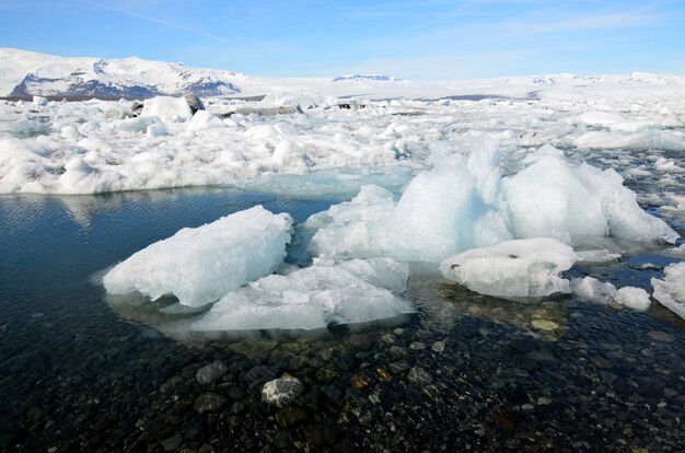 Duże kawałki lodu w płytkiej lagunie na Islandii