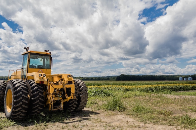 Duży żółty traktor na słoneczniku i polu kukurydzy pod błękitnym pochmurnym niebem
