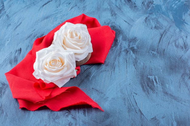Dwa białe kwiaty róży na czerwonym obrusie na niebiesko.