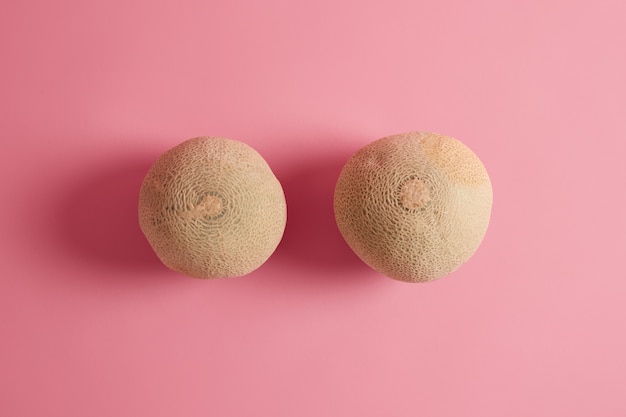 Dwa całe dojrzałe pyszne melony kantalupa sfotografowane z góry na różowym tle. Owoce letnie bogate w składniki odżywcze, mogą być dodawane do diety, mają wysoką zawartość wody, pomagają zachować nawodnienie