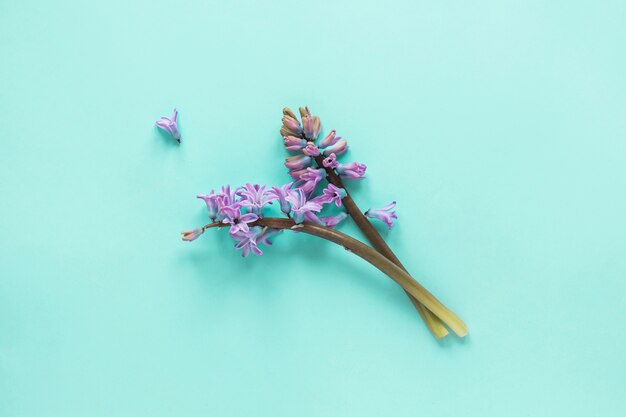 Dwa purpurowe kwiat gałąź na stole