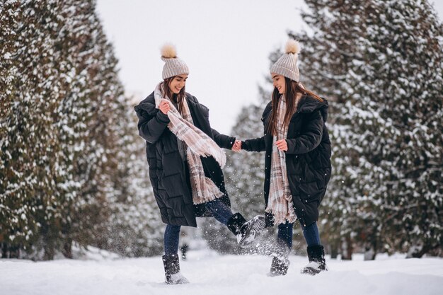 Dwie dziewczyny bliźniaki razem w winter park