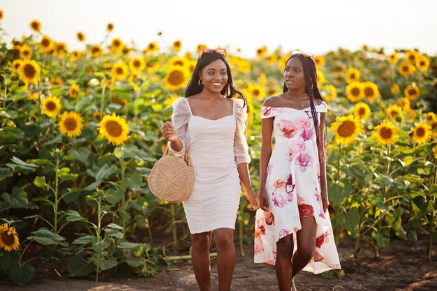 Dwie śliczne młode czarne przyjaciółki kobiety noszą letnią sukienkę pozują na słonecznikowym polu