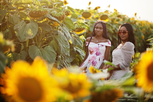 Dwie śliczne młode czarne przyjaciółki kobiety noszą letnią sukienkę pozują na słonecznikowym polu