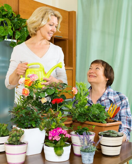 Dwie starsze kobiety opiekujące się roślinami domowymi