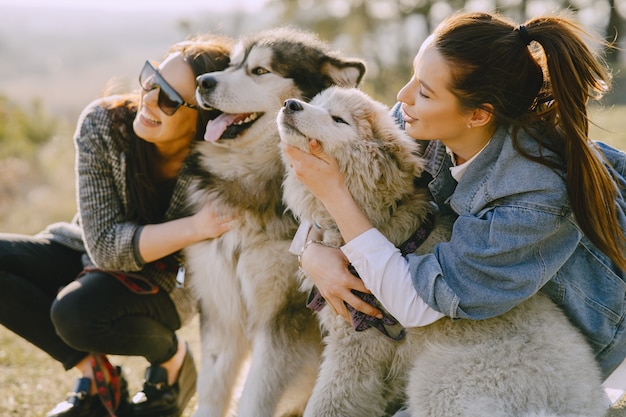 Dwie stylowe dziewczyny na słonecznym polu z psami