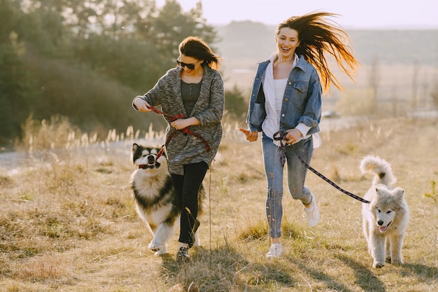 Dwie stylowe dziewczyny na słonecznym polu z psami
