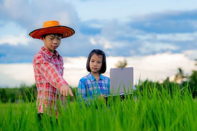 Dzieci sprawdzające pole ryżowe i trzymające laptopa na ekologicznej ziemi uprawnej