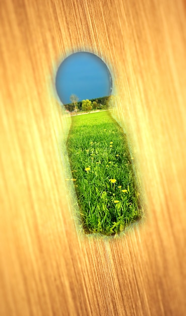Bezpłatne zdjęcie dziurka z zielonym polu