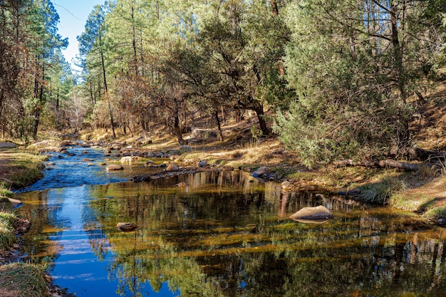 Bezpłatne zdjęcie east verde river w pobliżu north sycamore creek w parku narodowym apache-sitgreaves w arizonie