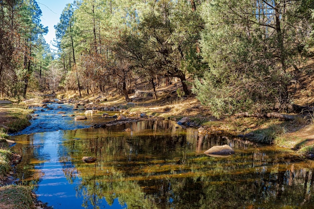 East Verde River w pobliżu North Sycamore Creek w Parku Narodowym Apache-Sitgreaves w Arizonie