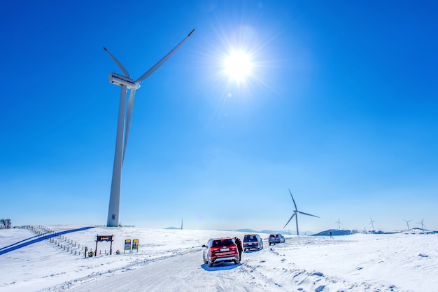 Eco Green Campus, Daegwallyeong Samyang Ranch zimą i turyści z samochodem na Daegwallyeong Samyang Ranch