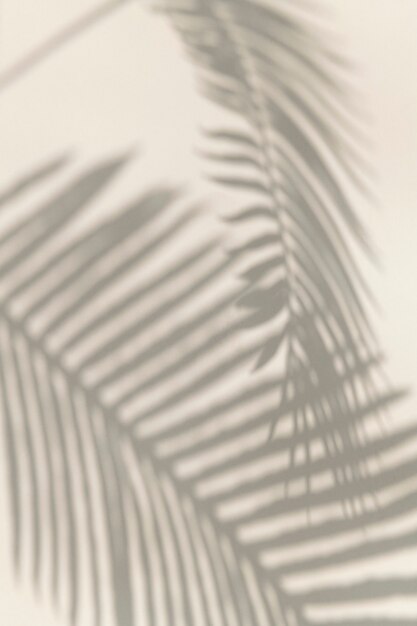 Element projektu cienia liści palmowych