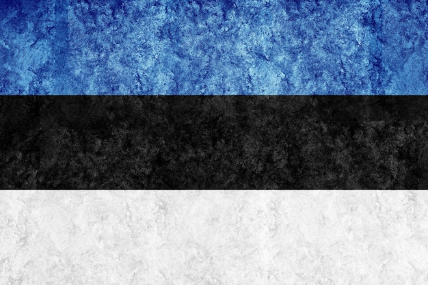 Estonia metaliczna flaga, teksturowana flaga, flaga grunge
