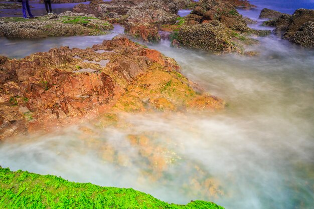 Fala panorama wody drzewa podróży oceanu