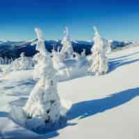 Bezpłatne zdjęcie fantastyczny zimowy krajobraz i drzewo w szron.