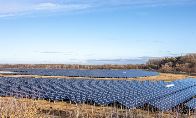 Farma elektryczna z panelami do produkcji czystej, ekologicznej energii