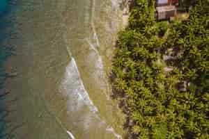 Bezpłatne zdjęcie fascynujący widok na plażę z białym piaskiem i turkusową czystą wodą w indonezji