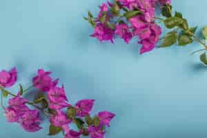 Bezpłatne zdjęcie fioletowy kwiat na niebieskiej ramce z miejsca kopiowania