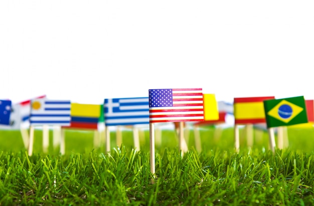 Flagi różnych krajów przebite na trawniku