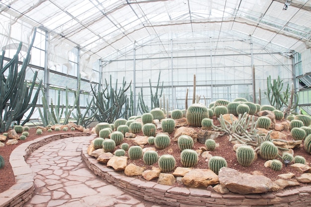 Flora Botaniczna Kwitną Ogród Botaniki Ciepła