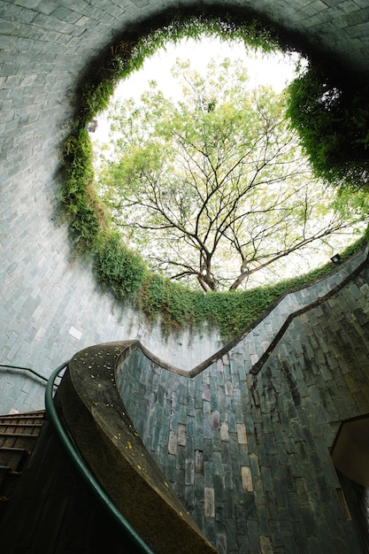 Bezpłatne zdjęcie fort canning w singapurze