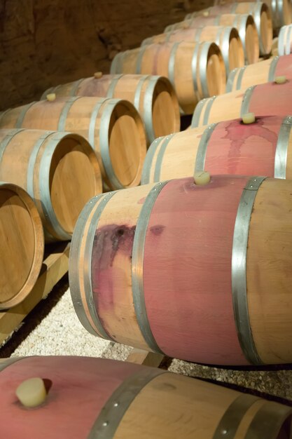 francuska winiarnia z drewnianymi beczkami